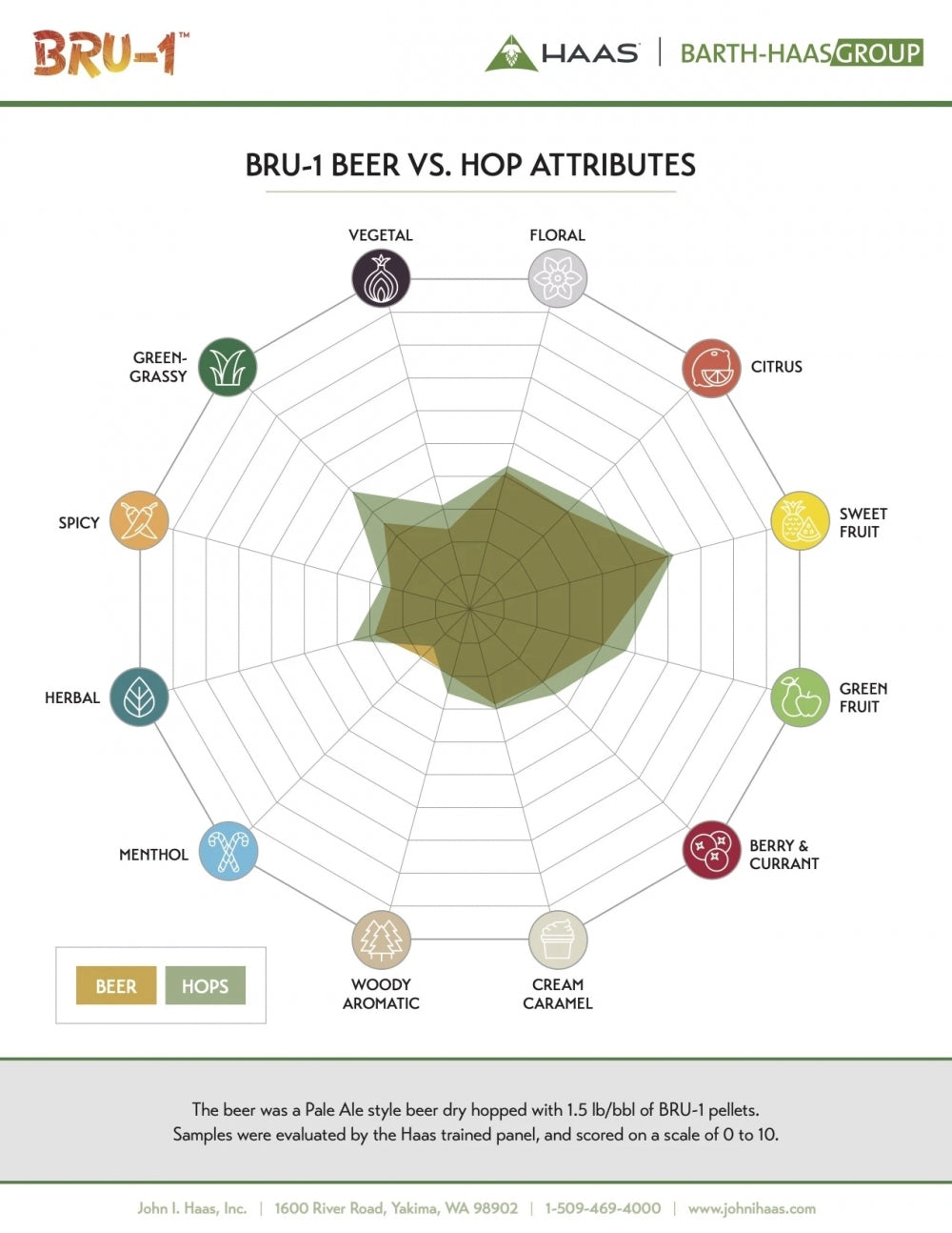 Et radardiagram viser at BRU-1 100g Humle Pellets (13,4%) 2023 fra BarthHaas har sterke sitrus-, søt frukt- og bærtoner, med lavere urte-, mentol- og gressaktige trekk fra humle av topp kvalitet.