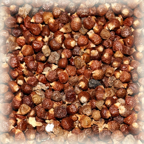 Nærbilde av Paradiskorn / Guineapepperfrø (100 g) fra Brewshop: små, runde, brune frø som ligger tett i tett.