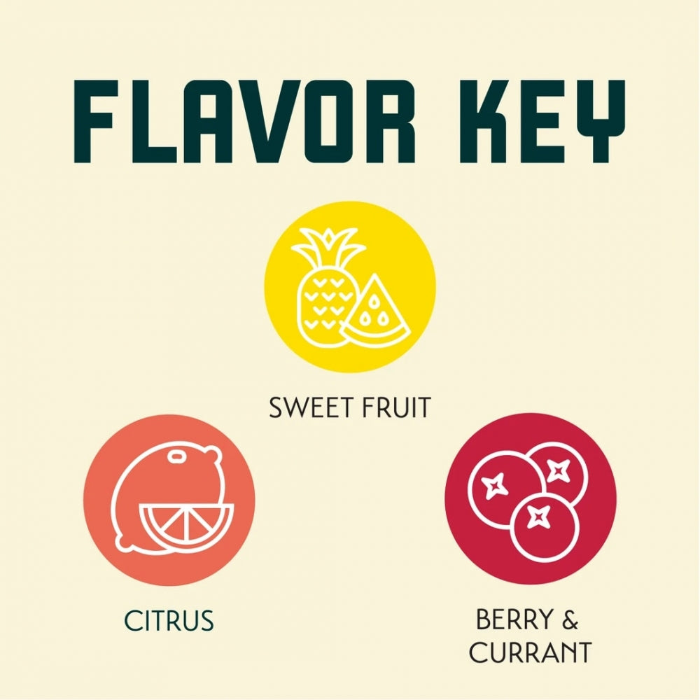 Tre sirkulære ikoner - Sweet Fruit (ananas, vannmelon), Citrus (grapefrukt) og Berry & Currant (tre bær) - under Flavor Key hjelper deg med å utforske smakene i Citra 100G BBC Pure Hop Pellets (13,6 %) 2025 til din neste IPA.