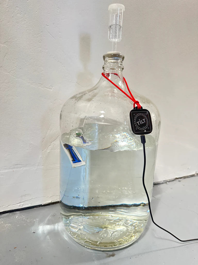 Fermenteringskaret i klart glass har en Tilt Pico - WiFi-adapter fra Tilt Hydrometer, en luftsluse på toppen, en innvendig temperatursensor og et digitalt termometer festet med et rødt bånd for presis kontroll av bryggingen.