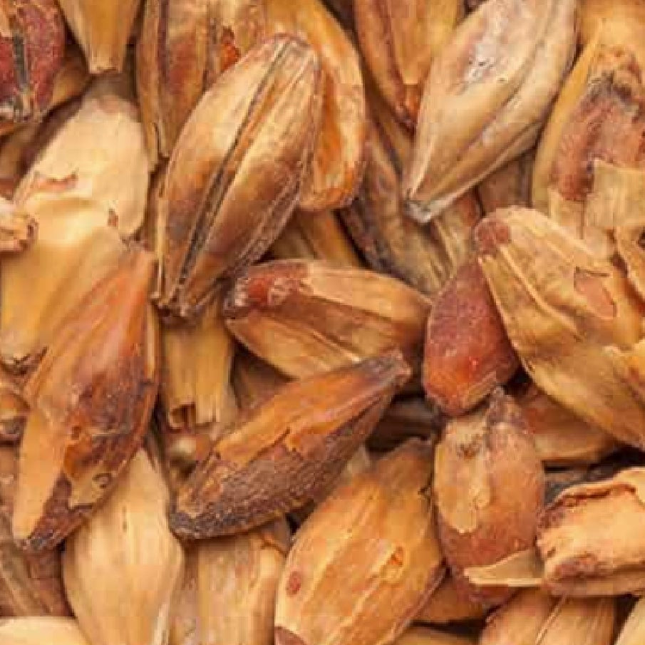 Nærbilde av avskallede byggkorn med rik tekstur og brune toner - perfekt for å lage maltblandinger eller fremheve spesialmalter som BEST Caramel Munich I (81-100 EBC) 100G fra Bestmalz.