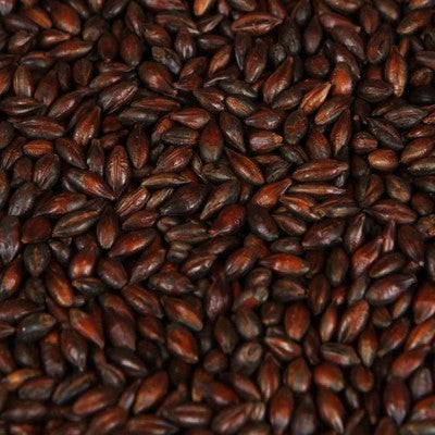 Et nærbilde av tettpakkede, mørkristede byggkorn, som fremhever Weyermann Carafa Special Type 3 (1300-1500 EBC) malt i en 100 g-pakning.