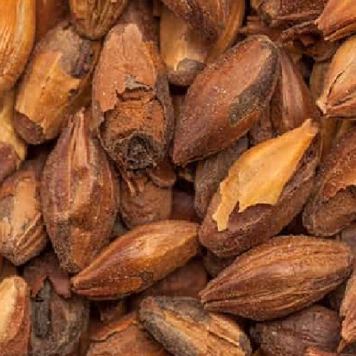 Nærbilde av flere tørkede sheanøtter med brunt, strukturert skall, tett pakket sammen og som ligner Bestmalz BEST Special X Malt (300-400 EBC) 100g.