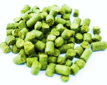 Grønne, sylindriske pellets av Nectaron 100G Humle Pellets (13,9 %) 2025 er spredt utover en hvit overflate – noe som understreker den førsteklasses kvaliteten som kjennetegner humle fra Yakima Valley.