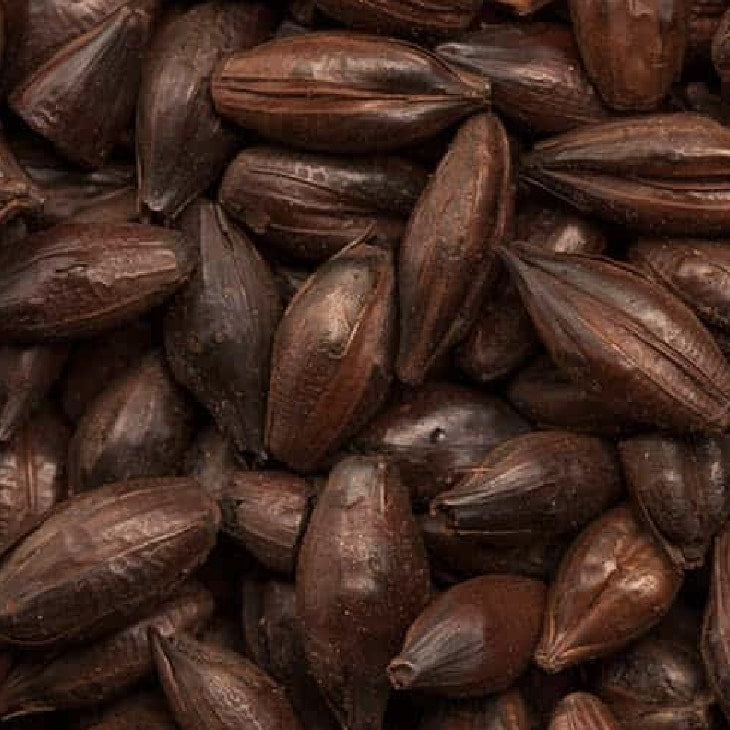 Nærbilde av hele, svarte kardemommekapsler med mørke, rynkete skall som ligger tett i tett - noe som speiler de dype fargetonene i BEST Roasted Barley Malt (1200-1400 EBC) 100G fra Bestmalz.