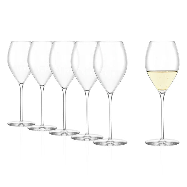 Fem tomme Stölzle Lausitz Fino champagneglass (425 ml, sett med 6 stk.) er stilt opp ved siden av et vinglass med en liten mengde hvitvin.