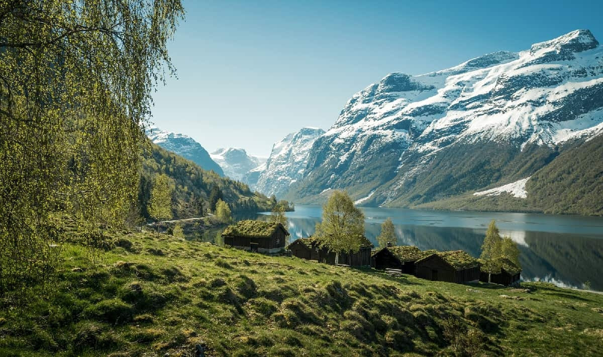 Brygge øl med kveik