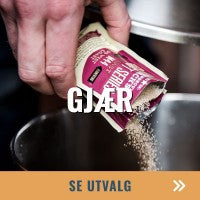 Gjær