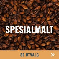 Spesialmalt