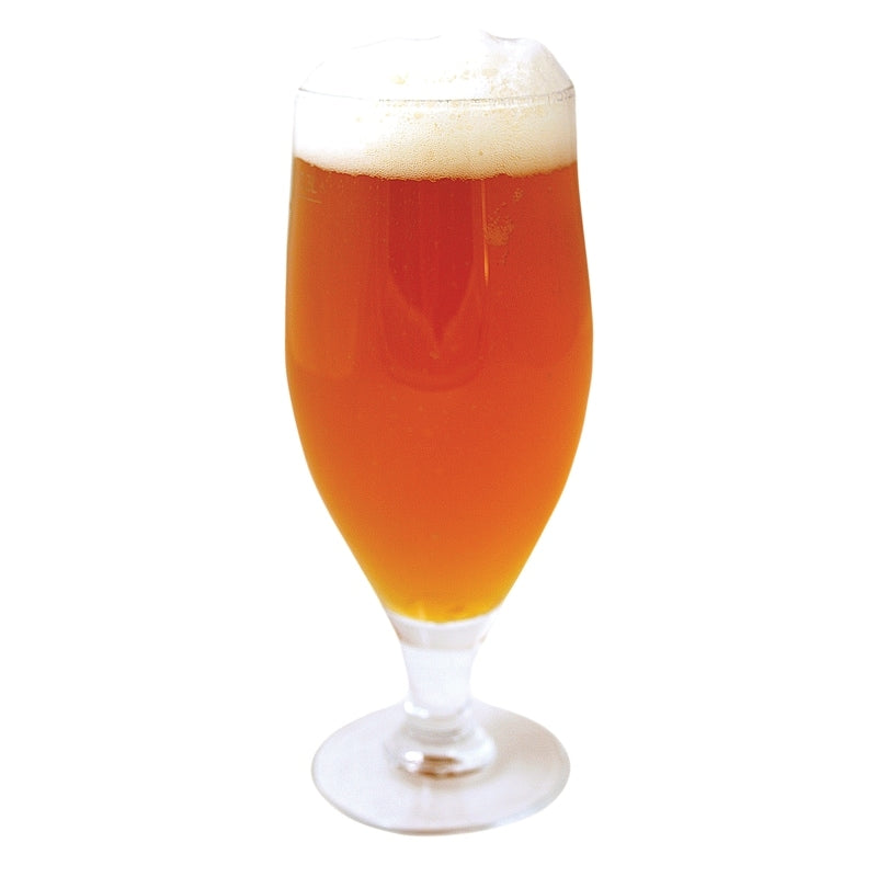 Et tulipanformet glass fylt med ravfarget Brewolution White House Honey Ale - allgrain ølsett, toppet med et skummende hode og isolert på en hvit bakgrunn.