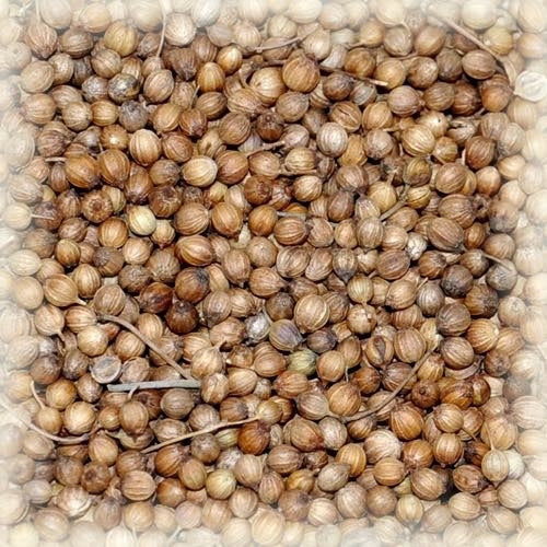Et nærbilde av mange Castle Malting Koriander frø 5kg frø spredt tett, som viser deres unike teksturer og former - ideelt for å undersøke produktspesifikasjoner.