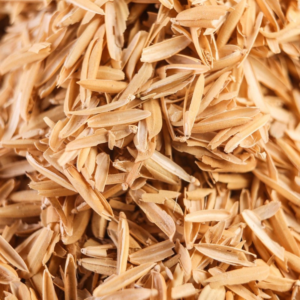 Nærbilde av Brewshop Ris-skall 500g til ølbrygging, som fremhever den lysebrune, fibrøse konsistensen og den spisse formen - perfekt til mesking eller filtrering i hjemmebrygging.