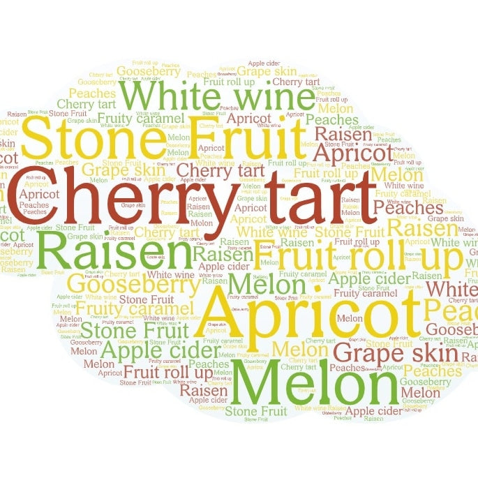 Et ordskybilde viser frukttermer som Cherry tart, Stone Fruit, Apricot, Melon, Raisin, White wine og Frutopia Pale Malt (5-6 EBC) 100G fra Bonsak Gårdsmalteri - alle presentert i livlige farger.