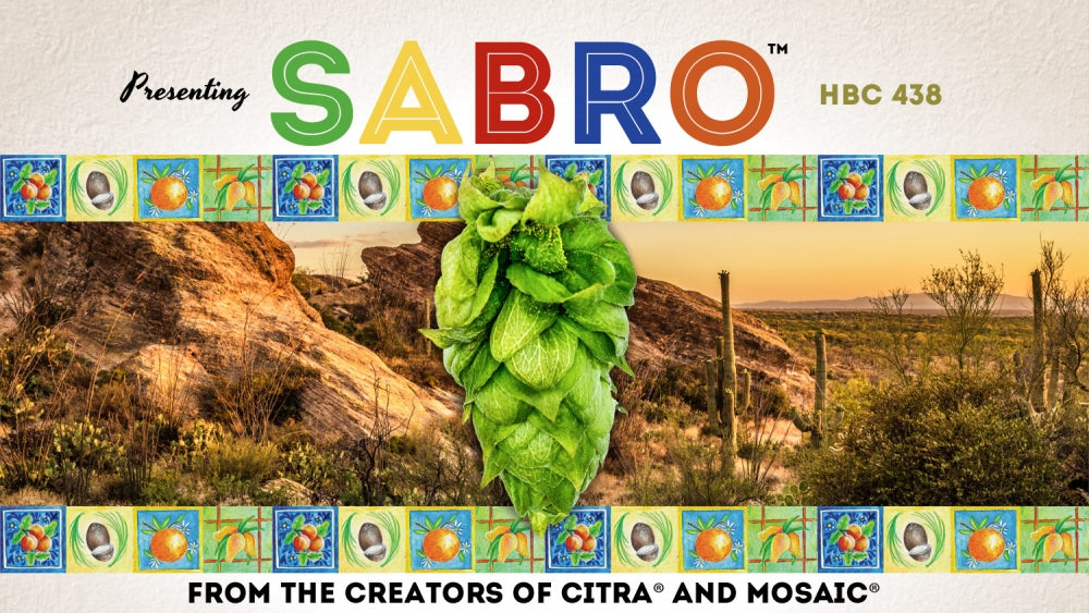 Bilde som promoterer Sabro 100G Humle Pellets (15,1%) 2024; viser en humlekjegle over en ørkenscene med utsmykkede kanter og frasen "From the creators of Citra and Mosaic". Fremhever Sabros tropiske aroma - ideelt for fans av saftige, disige øl.