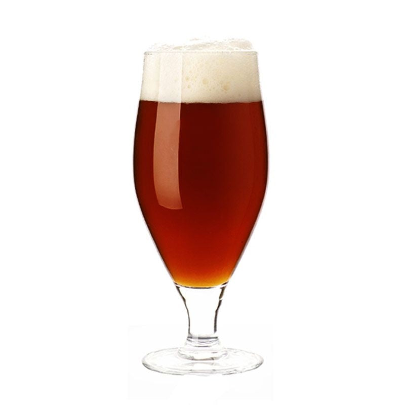 Et tulipanglass med ravfarget Bayern Bock - allgrain ølsett fra Brewolution, toppet med en tykk skumkrone, står mot en enkel hvit bakgrunn.