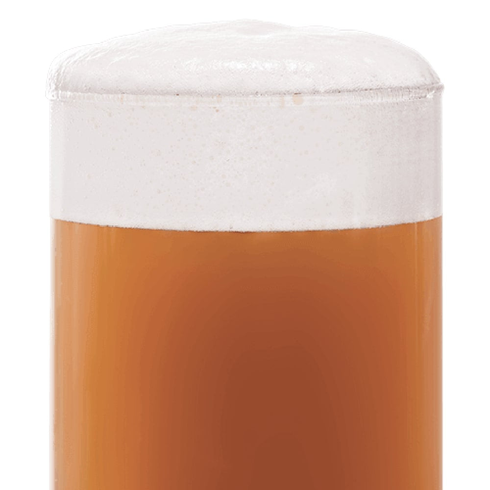 Et nærbilde av et glass fylt med ravfarget øl og tykt skum viser den rike fargen fra BEST Caramel Aromatic (41-60 EBC) 100G fra Bestmalz som er brukt i maltblandingen.