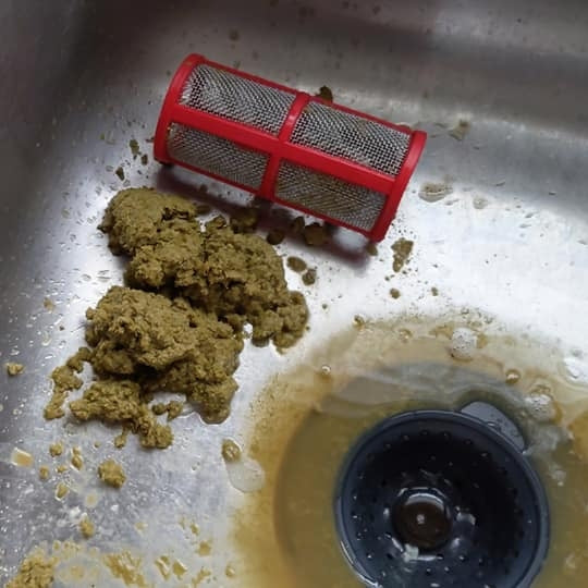 BouncerMD Inline Beer Filter fra Bouncer, perfekt for hjemmebrygging, fanger opp klumper av våte, grønnbrune rester - sannsynligvis rester etter ølfiltrering - ved siden av avløpet i kjøkkenvasken.