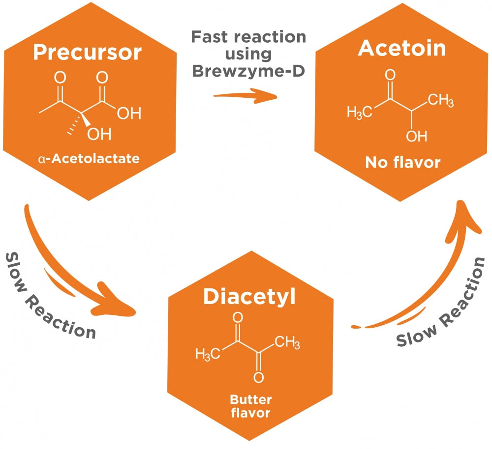 Flytskjemaet viser at α-acetolaktat omdannes raskt til acetoin og langsomt til diacetyl, som kan reduseres med White Labs WLE4900 Brewzyme-D 10 ml (ALDC) for å gi mindre smørsmak; acetoin er smakløst.