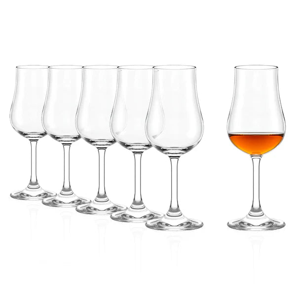 Seks Tulipanglass Classic 185 ml-glass fra Stölzle Lausitz står på rekke og rad. Fem av glassene er tomme, mens det sjette glasset lengst til høyre inneholder en ravfarget væske.