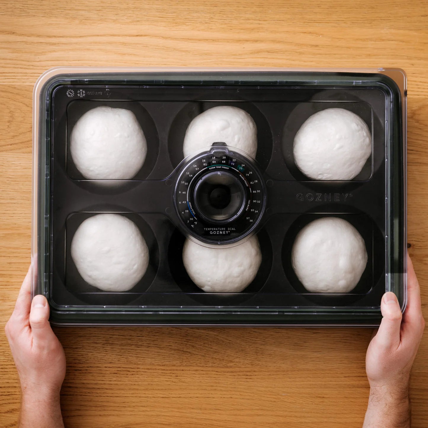 En person holder Gozney Dough Tray - Hevekasse by Gozney, som inneholder seks deigkuler plassert rundt en sentral skive, på en overflate av tre.