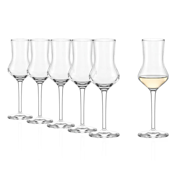 Seks Grappa-glass (90 ml) fra Stölzle Lausitz står på rekke og rad; fem er tomme, og ett inneholder en liten mengde lys væske.