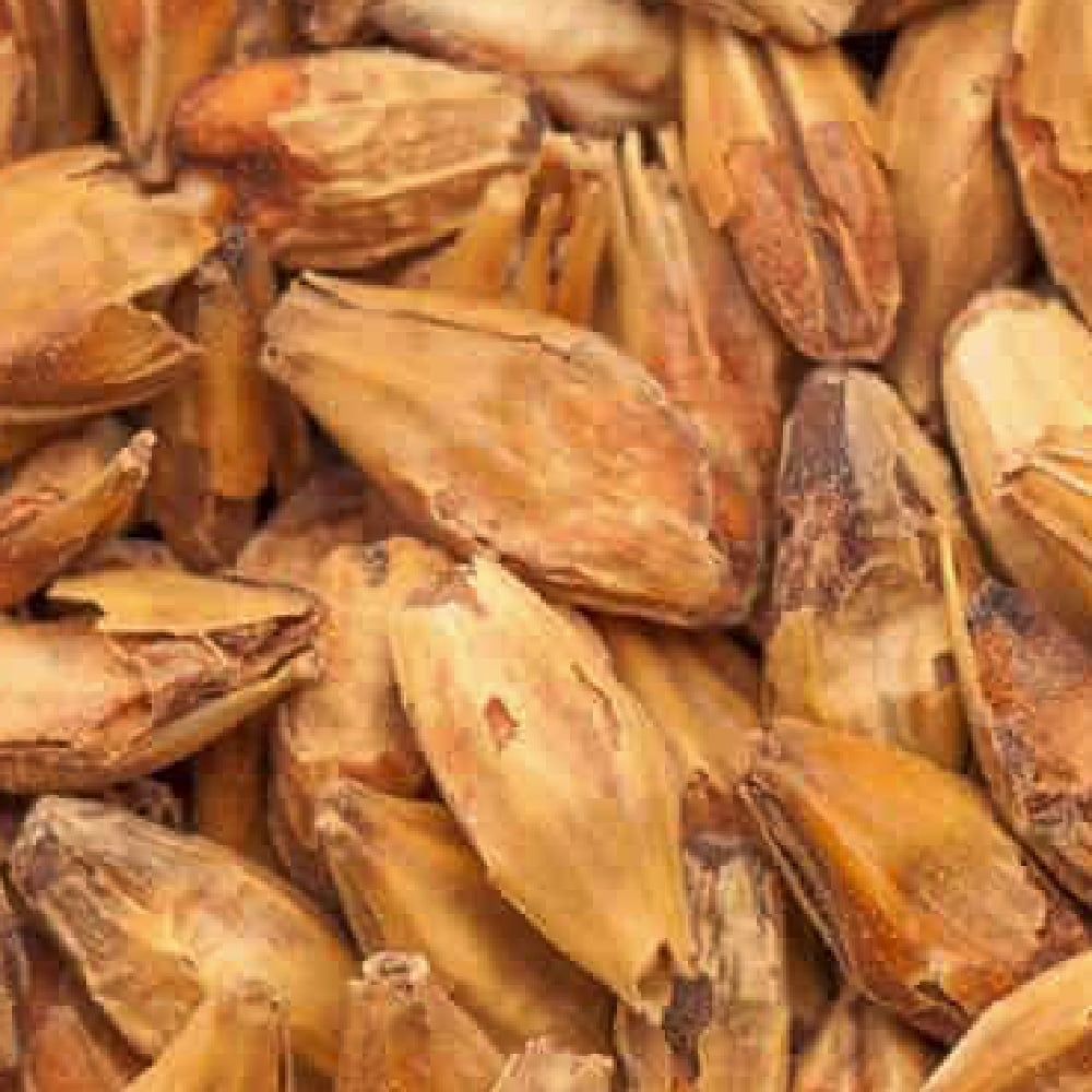 Nærbilde av BEST Caramel Amber (61-80 EBC) 100G byggkorn fra Bestmalz, som viser intakte skall og en grov, brun tekstur - perfekt for maltblanding i brygging.