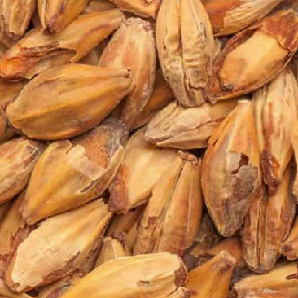 Et nærbilde av byggkorn med skall, ideelt for maltblandinger eller til å lage fyldige mørke karamellmalter som BEST Caramel Munich III (131-200 EBC) 100G fra Bestmalz.