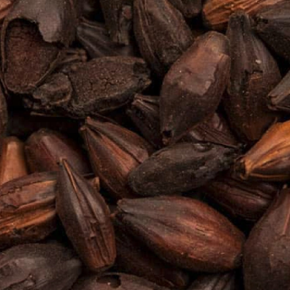 Nærbilde av flere tørkede, hele muskatnøttfrø, noen av dem splittet for å avsløre et mørkt indre, som gjenspeiler de dype nyansene i BEST Black Malt (1100-1200 EBC) 100G fra Bestmalz, som brukes til å lage mørkt øl.