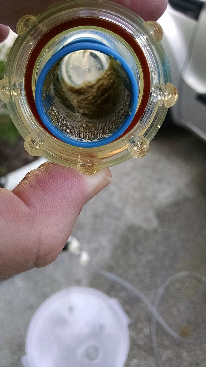 Nærbilde av en person som holder et gjennomsiktig sylindrisk filterhus med synlig rusk inne i maskene - ideelt for ølbrygging og fullt kompatibelt med Bouncer Inline Beer Filter fra Bouncer.