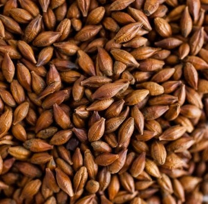 Nærbilde av Thomas Fawcett & Sons Brown Malt (175-200 EBC) 100 g - rikt farget, strukturert korn som er ideelt for ditt neste maltblandingseksperiment.