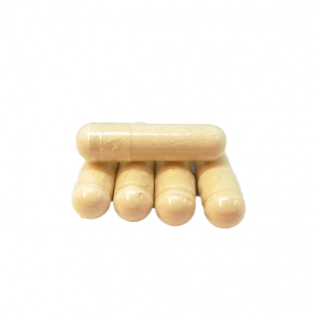 Fem beige kapsler er ordnet på en hvit bakgrunn, der den ene ligger oppå fire andre - ideelt for dem som utforsker Saccharomyces cerevisiae og mikrobiologi ved hjelp av VWRs YPD (YEPD)-buljong vekstmedium, pose for 0,5 liter.