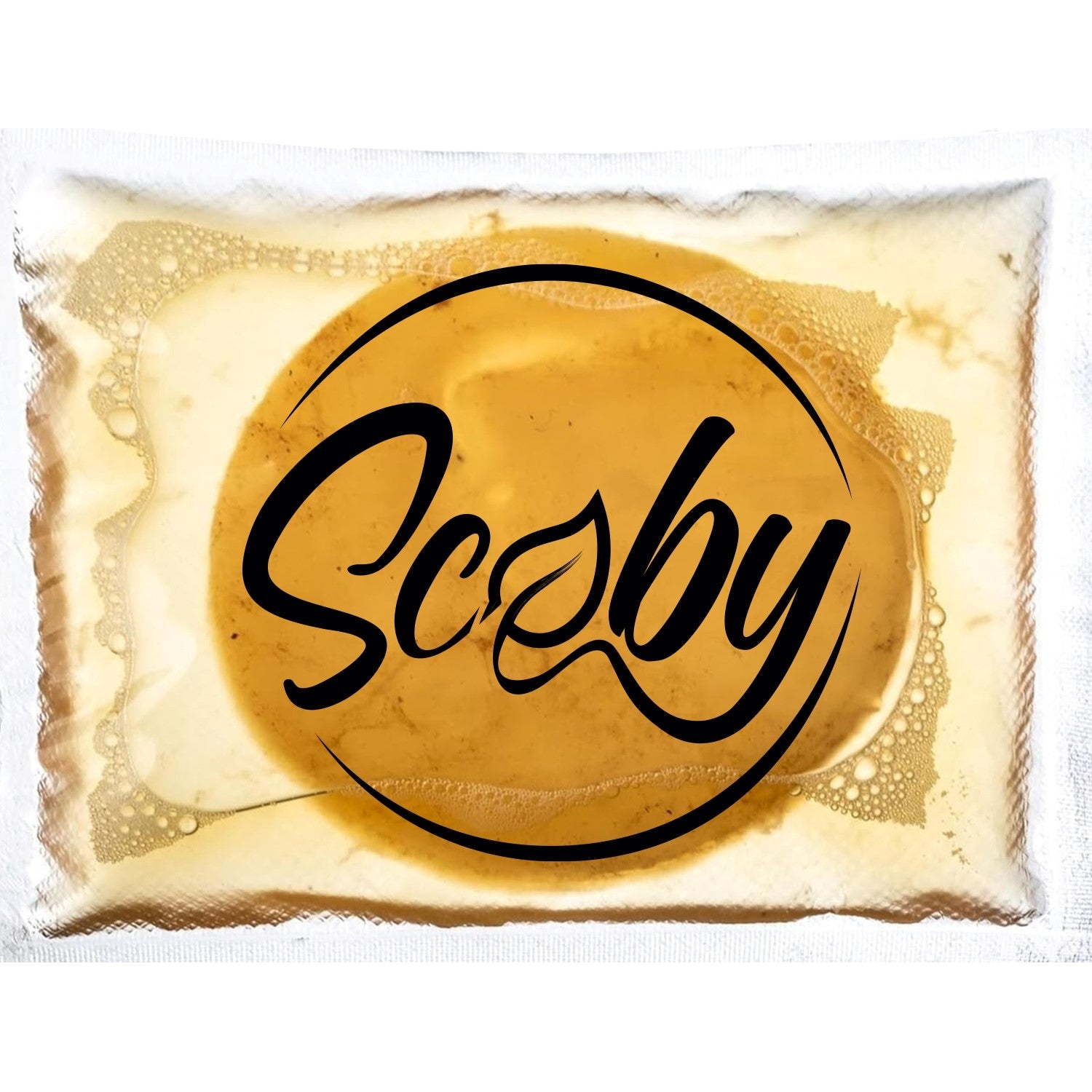 En forseglet plastpose inneholder en brun, geléaktig Scoby - kultur for Kombucha (diameter 12 cm) fra Enolandia, med "Scoby" trykt med fete, svarte bokstaver på posen.